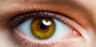 Siga Estos Consejos Para Disminuir Efectivamente El Riesgo De Enfermedades En Sus Ojos