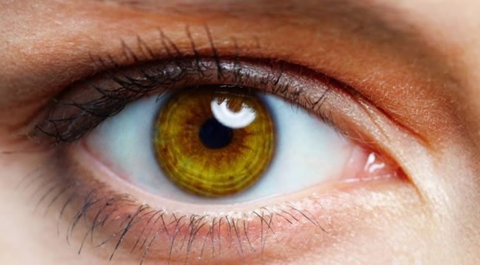 Siga Estos Consejos Para Disminuir Efectivamente El Riesgo De Enfermedades En Sus Ojos