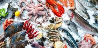 El Top 6 De Los Pescados Más Peligrosos Para La Alimentación En La Actualidad