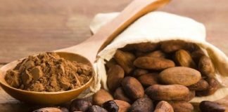 ¿Cuál Es La Diferencia Entre El Cacao Yy La Cocoa? Tip: Uno Es Mejor Que El Otro
