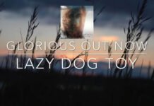 Lazy Dog Toy Lanza Su Nuevo Sencillo "Glorious"