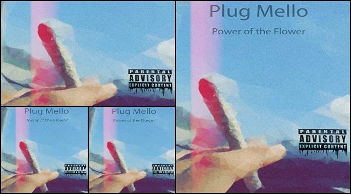 Plug Mello Lanza Su Nuevo Álbum "Power of the Flower"