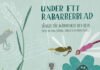 Anja Bigrell Estrena Su Nuevo Sencillo "Under Ett Rabarberblad" (Under A Rhubarb Leaf)