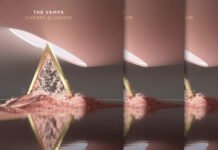The Vamps Estrenan Su Nuevo Álbum "Cherry Blossom"
