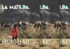 La Matilda Presenta Su Nuevo Sencillo Y Video "Camino Lento"