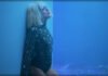 Charlotte Lawrence Presenta Su Nuevo Sencillo Y Video "Talk You Down"