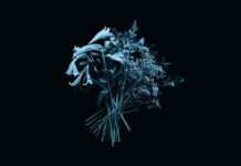 Mirror Of Haze Presenta Su Nuevo Álbum "The End Is The Beginning"